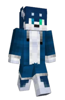 Front of StenFLASH's skin