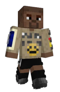 Front of InParis's skin