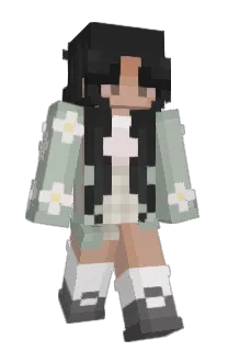 Front of Minecraft skin