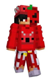 Front of Radgix's skin
