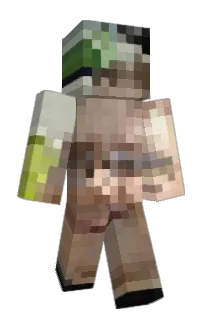 Front of PallDex's skin
