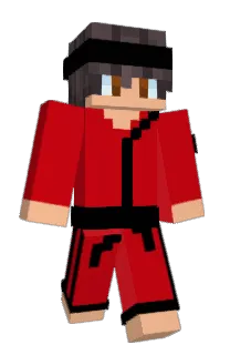 Front of BRIIGGS's skin