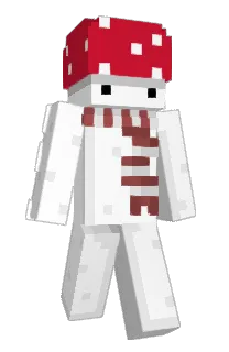 Front of Minecraft skin