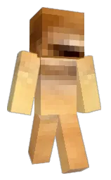 toppomeranian's Minecraft skin wearing the Migrator cape