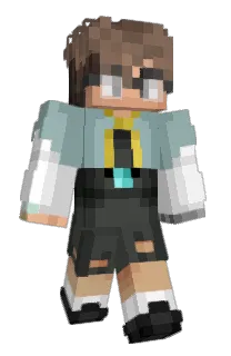 Front of goshkow's skin
