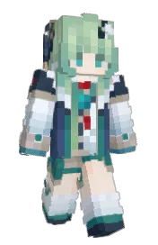 Skin preview