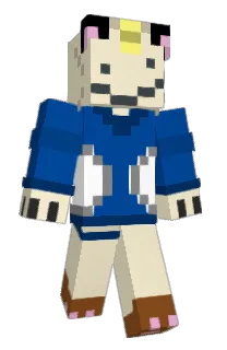 Front of RiceCat63's skin