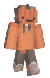 Front of Dragonplane's skin