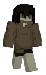 Classic Minecraft skin