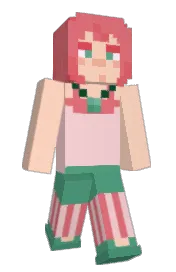 Skin preview