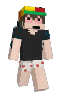 Front of Swign's skin