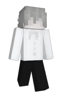 895s Minecraft avatar full body