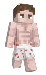 Minecraft skin — Slim model
