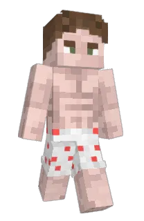 Front of Minecraft skin