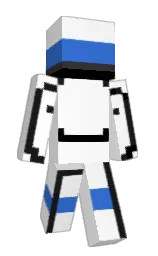white and black Minecraft skin — Slim model