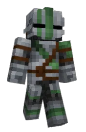 Skin preview
