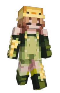 Front of Veguslights's skin