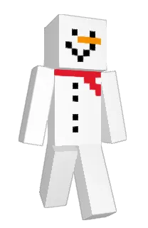 Front of r8c's skin