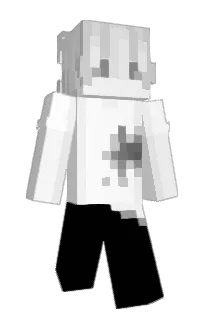 Front of zmmw's skin