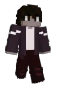 llsh4d