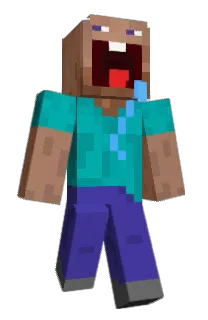 Front of ssimoz's skin