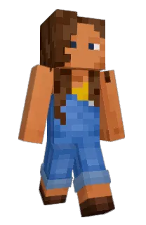 pds__'s Minecraft skin