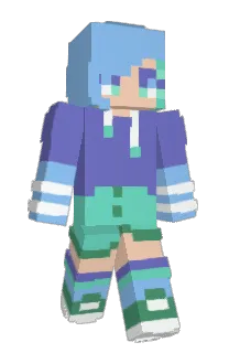 Front of FlopTurtle's skin