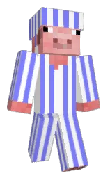 Minecraft skin — Slim model