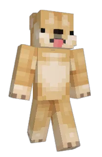 Front of Minecraft skin