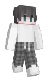Slim Minecraft skin