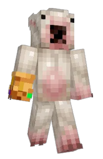 Front of SchizoPinqk's skin