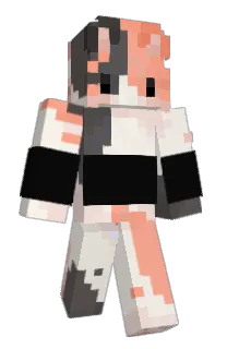 Front of im_sushi's skin