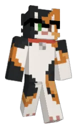 Classic Minecraft skin