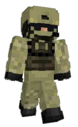 Minecraft skin — Classic model