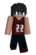 RayFR_