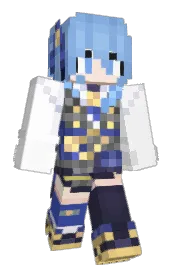 Skin preview