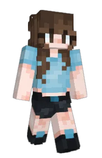 Front of FlawRest's skin