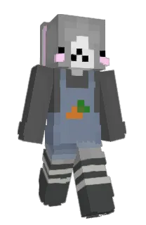 Front of minixerro's skin