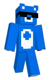 Skin preview