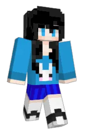 Skin preview