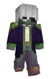 Skin preview