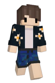 8A9 Minecraft avatar full body