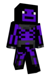 8DanS Minecraft avatar full body