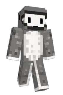 8MINIWA8 Minecraft avatar full body