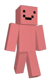 Front of Niche's skin