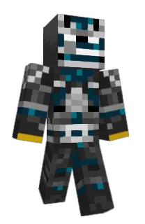Front of cfxwa's skin