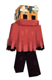 Front of pavkin's skin