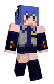 Skin preview