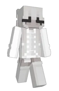 Front of sallei's skin