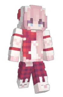 Front of mochy's skin